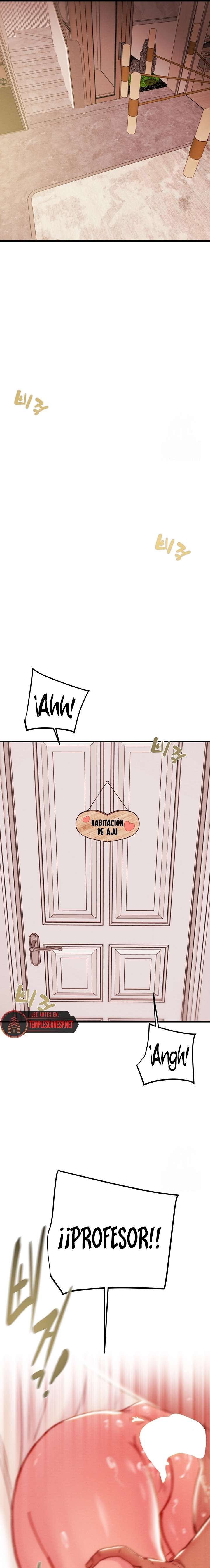 El Saqueador Capítulo 41 - Page 17