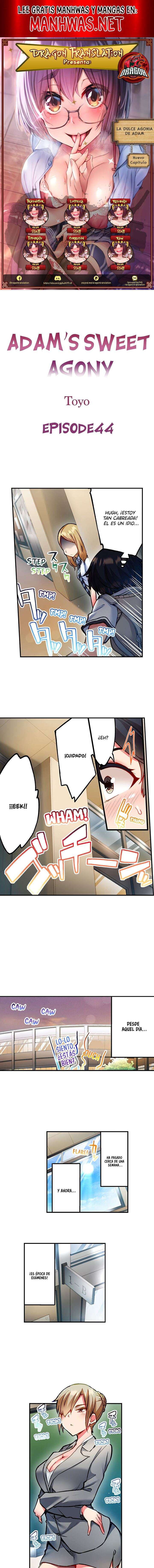 La dulce agonia de Adam Capítulo 44 - Page 1