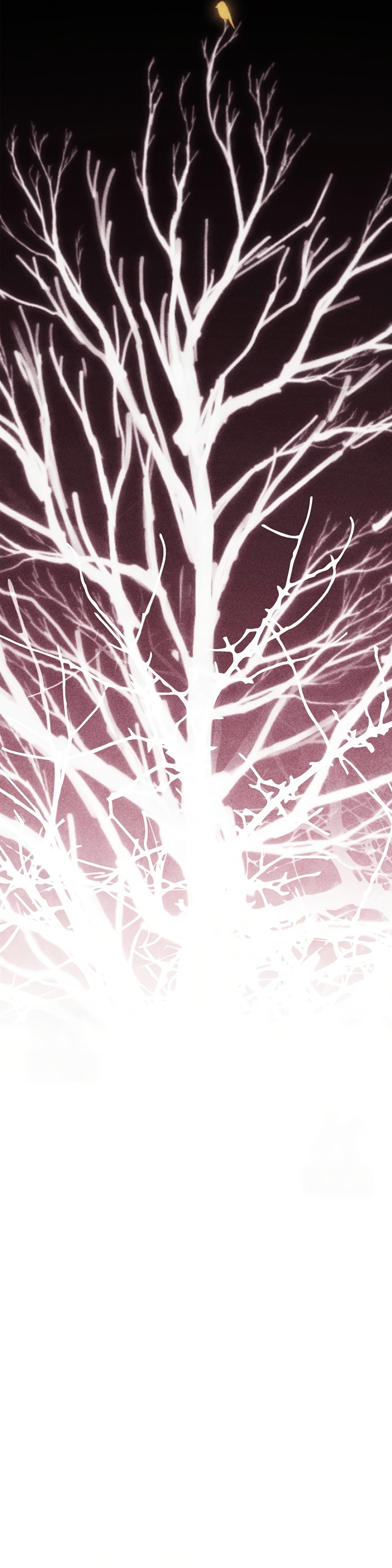 The Broken Ring This Marriage Will Fail Anyway Capítulo 115 - Page 15