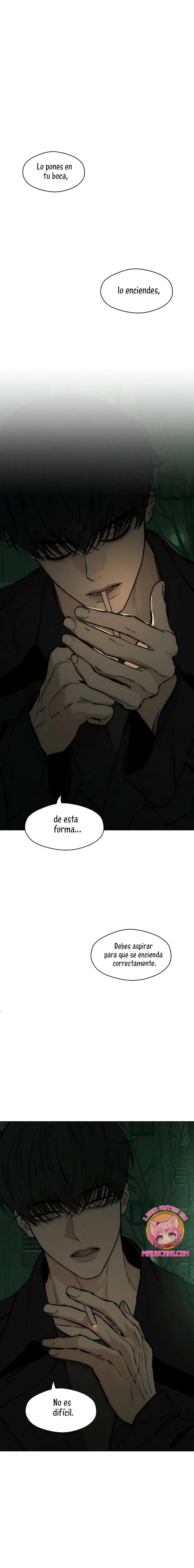 Lágrimas En Las Flores Marchitas Capítulo 22 - Page 12