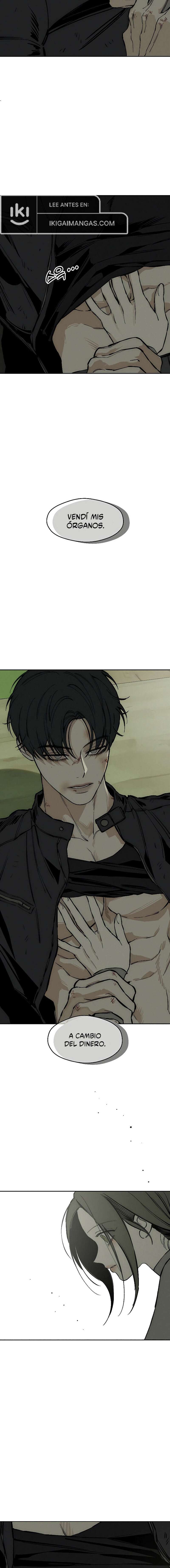 Lágrimas En Las Flores Marchitas Capítulo 37 - Page 19