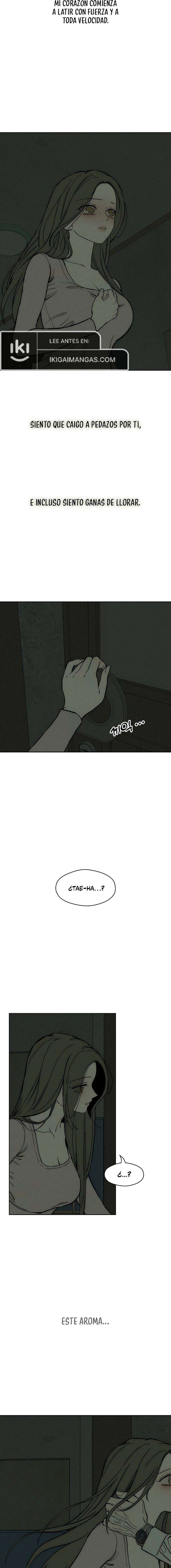 Lágrimas En Las Flores Marchitas Capítulo 53 - Page 22