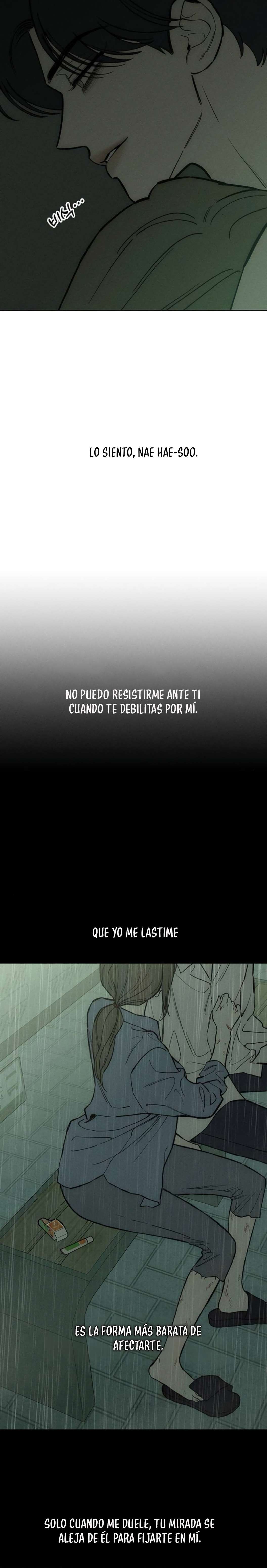 Lágrimas En Las Flores Marchitas Capítulo 65 - Page 17