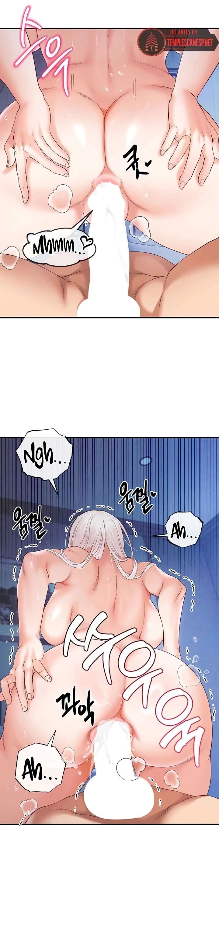 Revenge With My Harem Capítulo 26 - Page 12