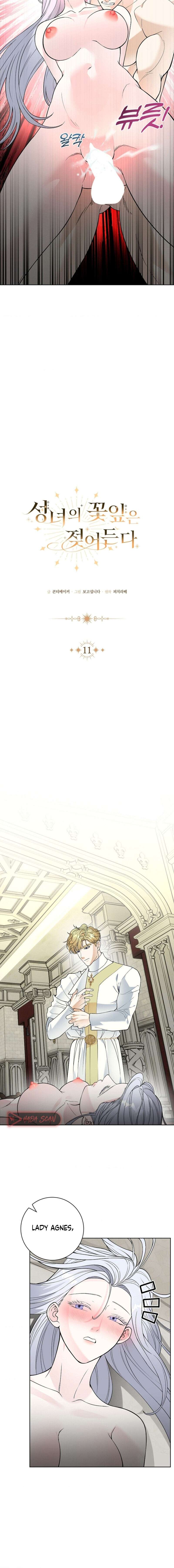 Los Pétalos de la Santa se humedecen Capítulo 11 - Page 5