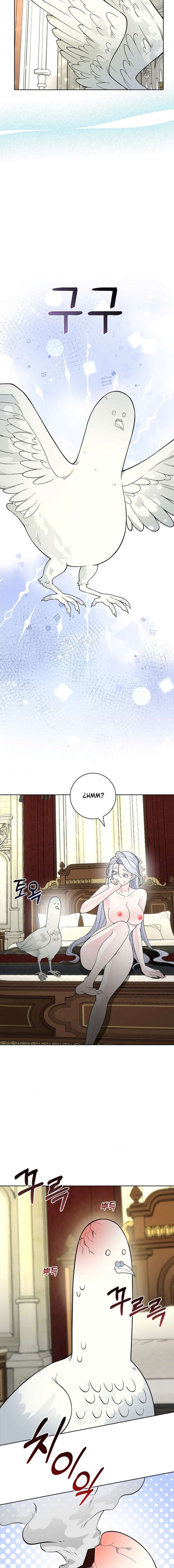 Los Pétalos de la Santa se humedecen Capítulo 11 - Page 8