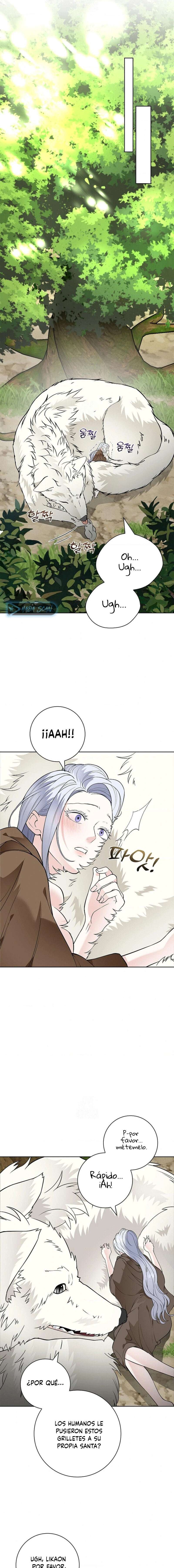Los Pétalos de la Santa se humedecen Capítulo 15 - Page 13