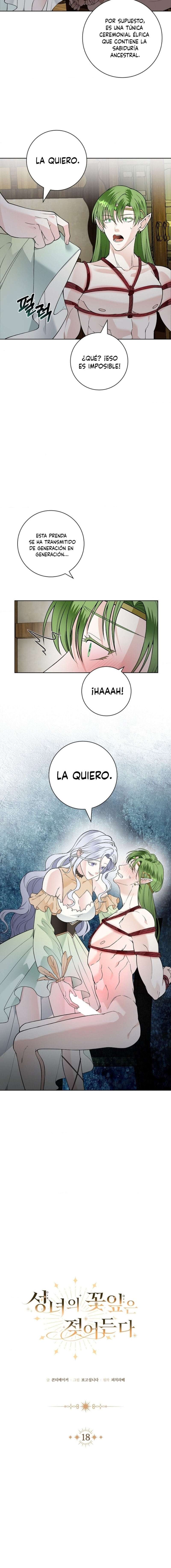 Los Pétalos de la Santa se humedecen Capítulo 18 - Page 5