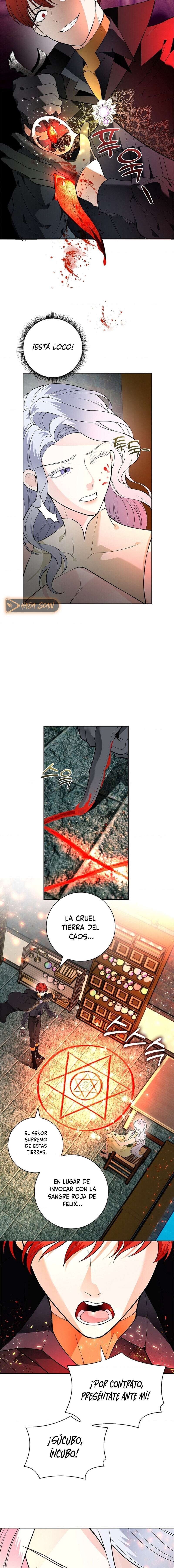 Los Pétalos de la Santa se humedecen Capítulo 20 - Page 13