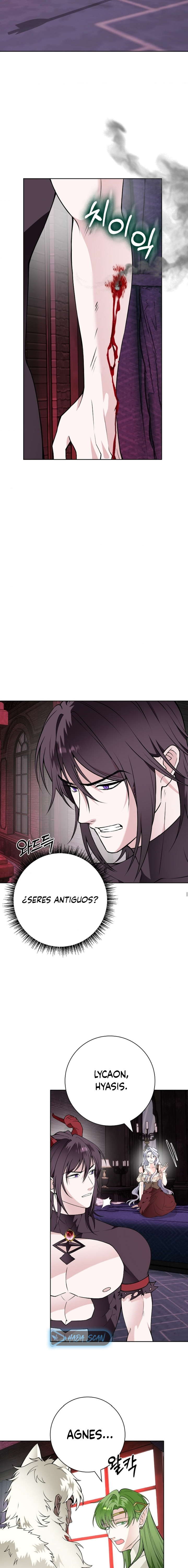 Los Pétalos de la Santa se humedecen Capítulo 37 - Page 11