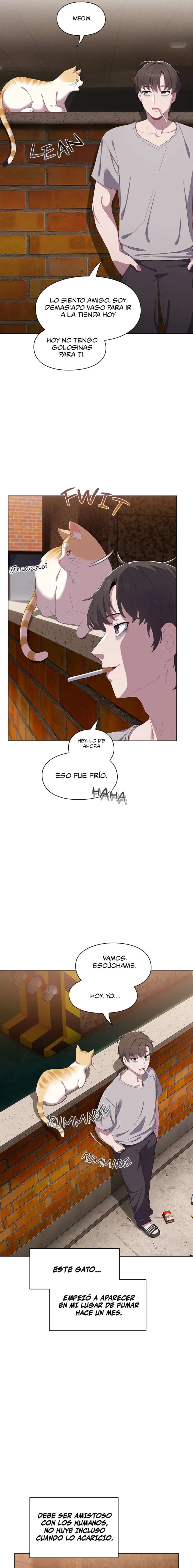 Maullidos de amor Capítulo 1 - Page 10