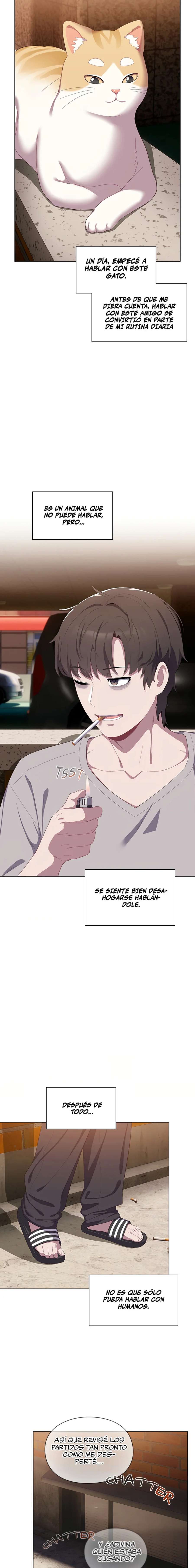 Maullidos de amor Capítulo 1 - Page 11
