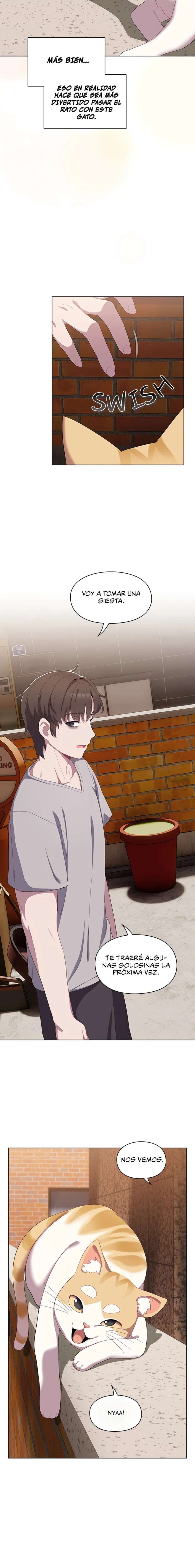 Maullidos de amor Capítulo 1 - Page 16