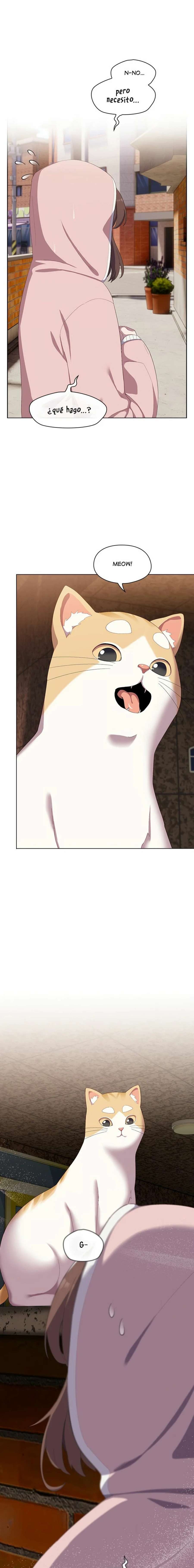 Maullidos de amor Capítulo 1 - Page 22