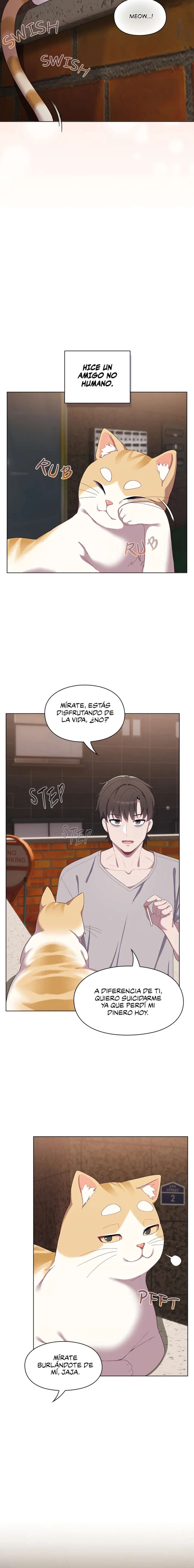 Maullidos de amor Capítulo 1 - Page 9