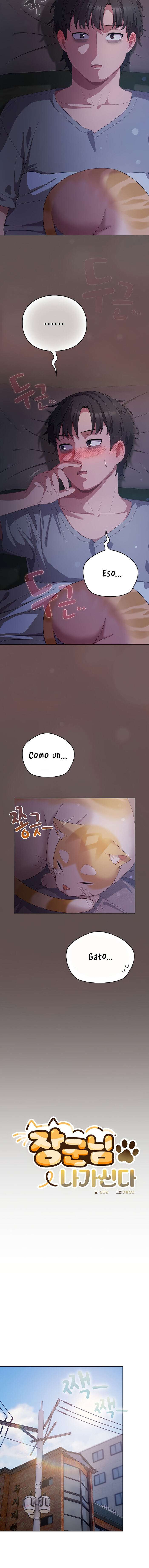 Maullidos de amor Capítulo 10 - Page 12