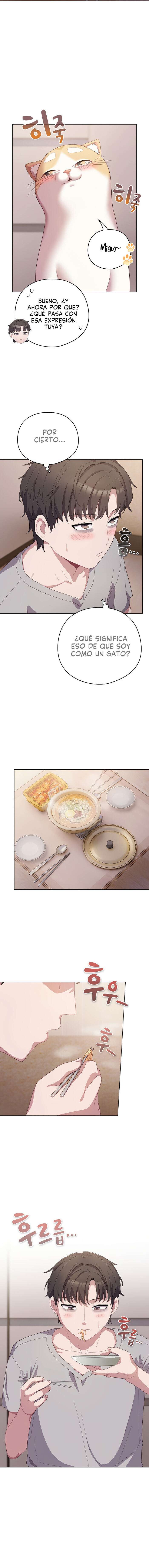 Maullidos de amor Capítulo 10 - Page 15