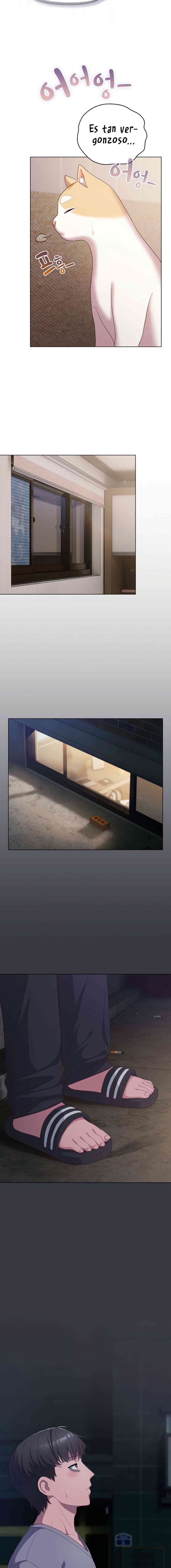 Maullidos de amor Capítulo 11 - Page 14