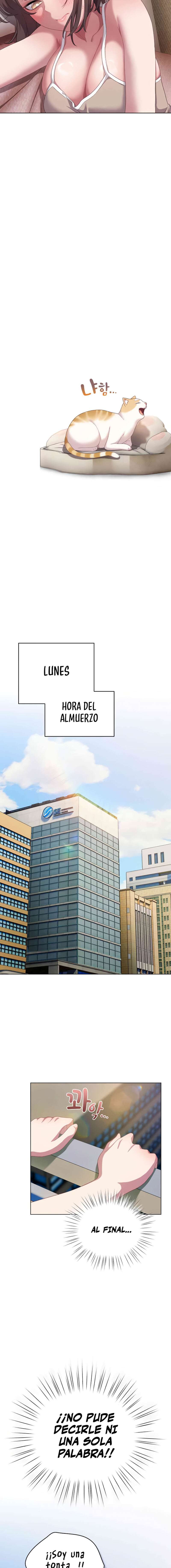 Maullidos de amor Capítulo 11 - Page 17