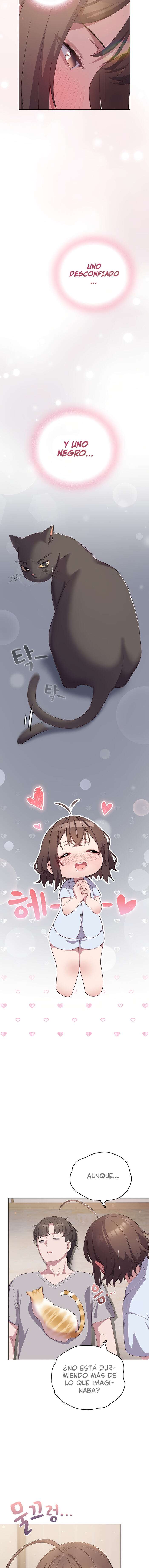 Maullidos de amor Capítulo 13 - Page 2