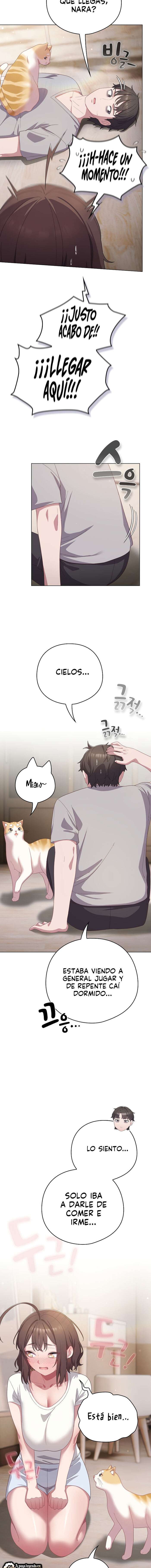 Maullidos de amor Capítulo 13 - Page 7