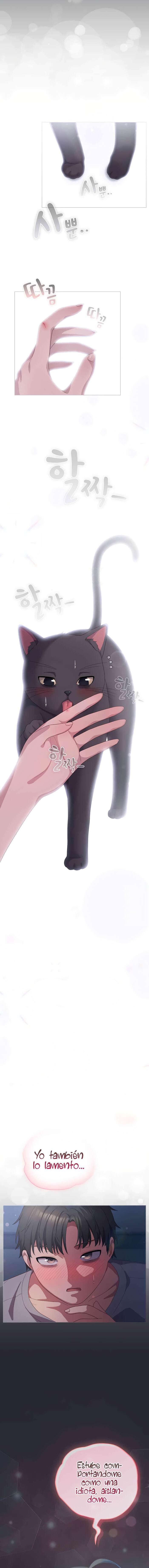 Maullidos de amor Capítulo 14 - Page 7