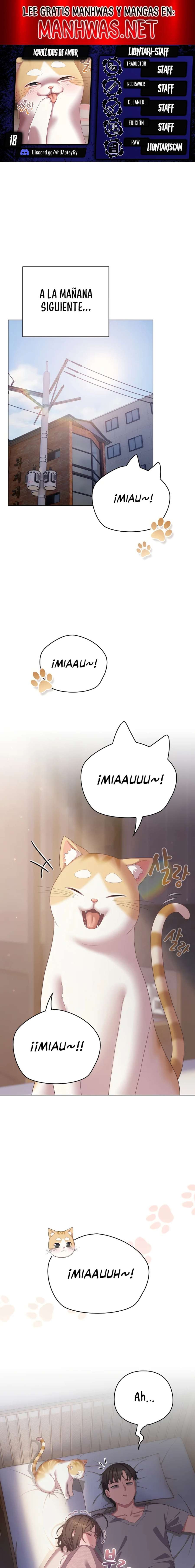 Maullidos de amor Capítulo 18 - Page 1