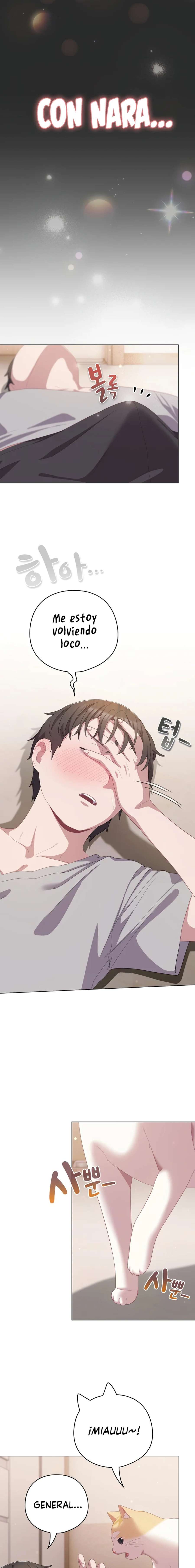 Maullidos de amor Capítulo 18 - Page 15