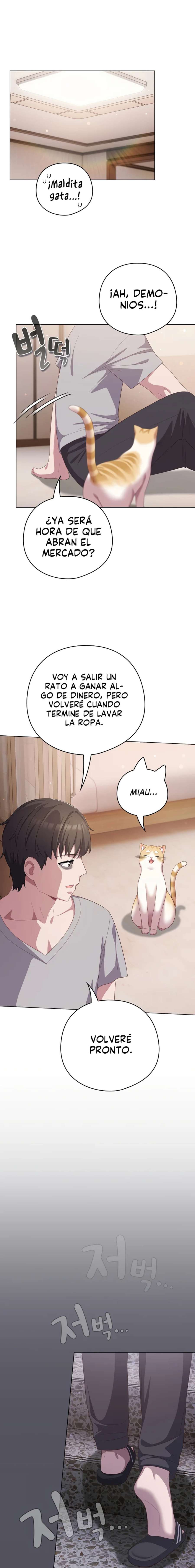 Maullidos de amor Capítulo 18 - Page 17