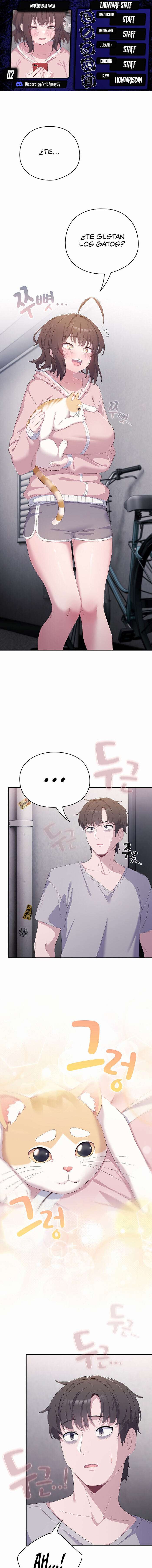 Maullidos de amor Capítulo 2 - Page 1