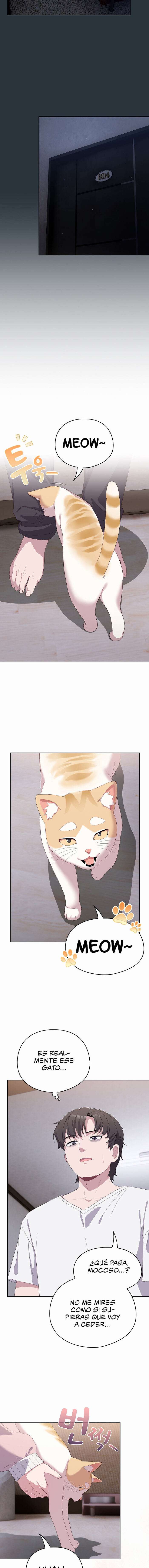 Maullidos de amor Capítulo 2 - Page 11