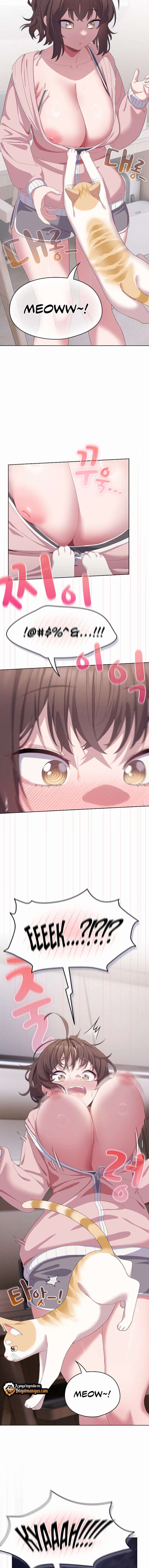 Maullidos de amor Capítulo 2 - Page 17