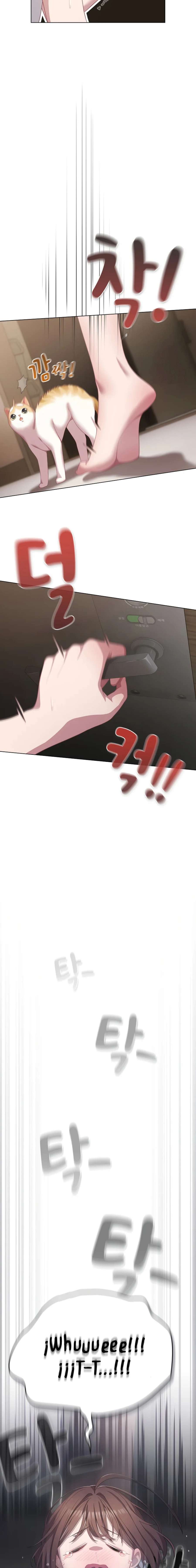 Maullidos de amor Capítulo 23 - Page 16