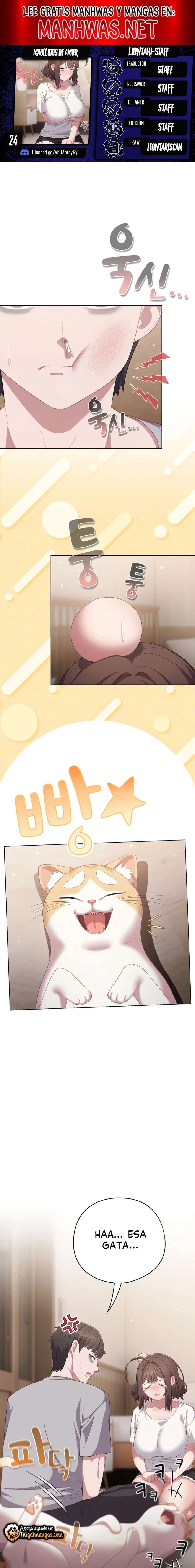 Maullidos de amor Capítulo 24 - Page 1