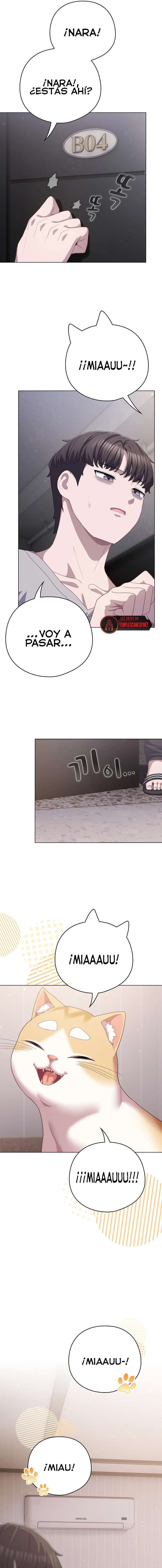 Maullidos de amor Capítulo 29 - Page 15