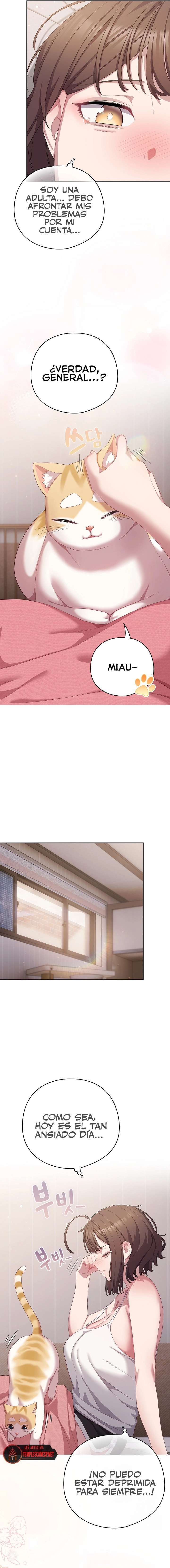 Maullidos de amor Capítulo 29 - Page 20