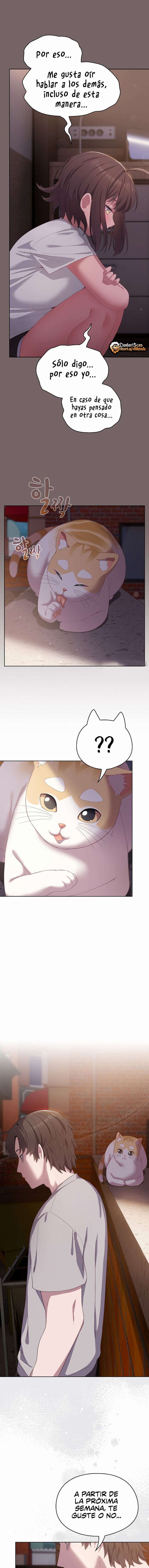Maullidos de amor Capítulo 3 - Page 12