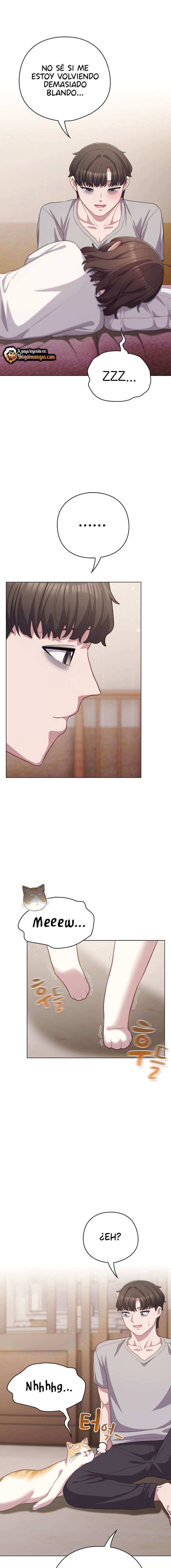 Maullidos de amor Capítulo 38 - Page 13