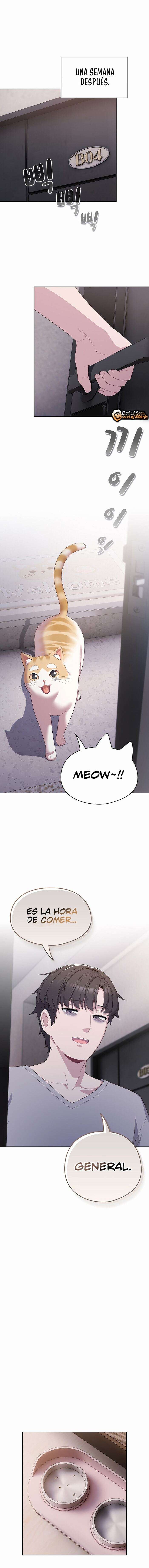 Maullidos de amor Capítulo 4 - Page 1