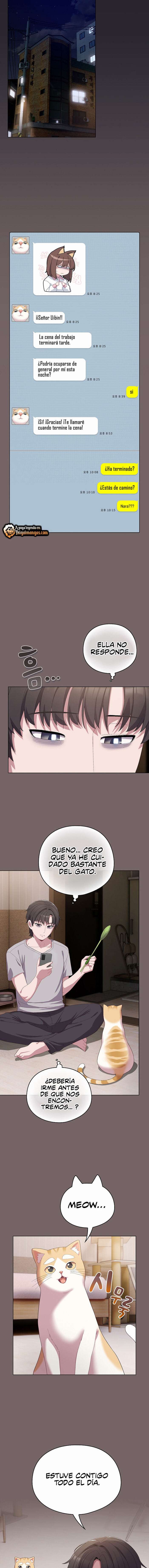 Maullidos de amor Capítulo 4 - Page 16