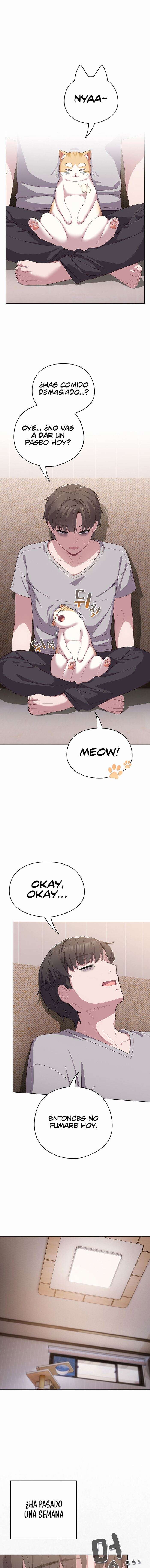 Maullidos de amor Capítulo 4 - Page 2