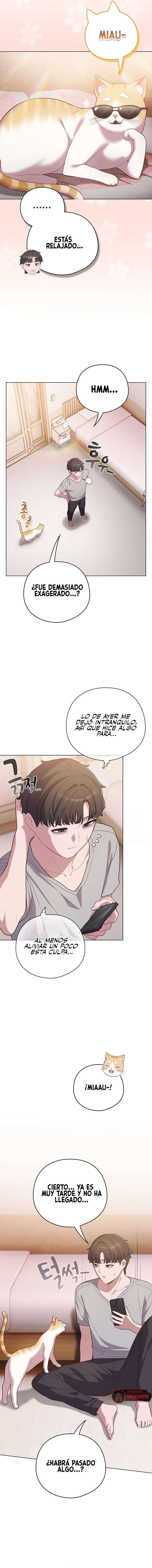 Maullidos de amor Capítulo 46 - Page 11