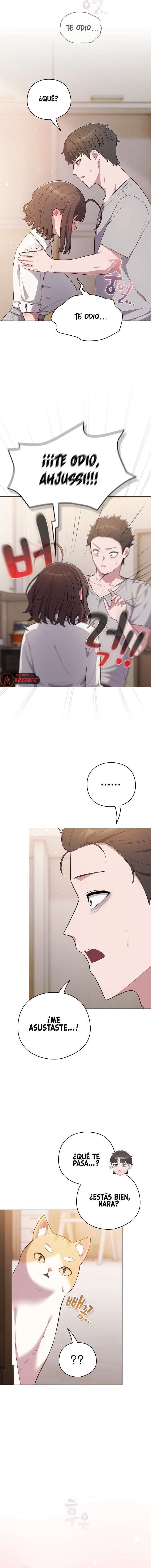 Maullidos de amor Capítulo 46 - Page 13