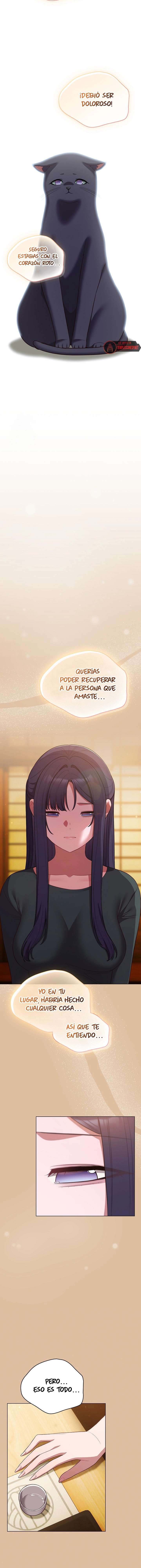 Maullidos de amor Capítulo 46 - Page 5