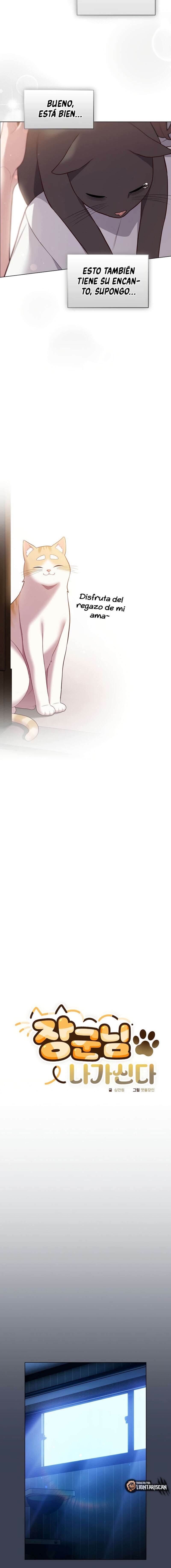 Maullidos de amor Capítulo 47 - Page 15