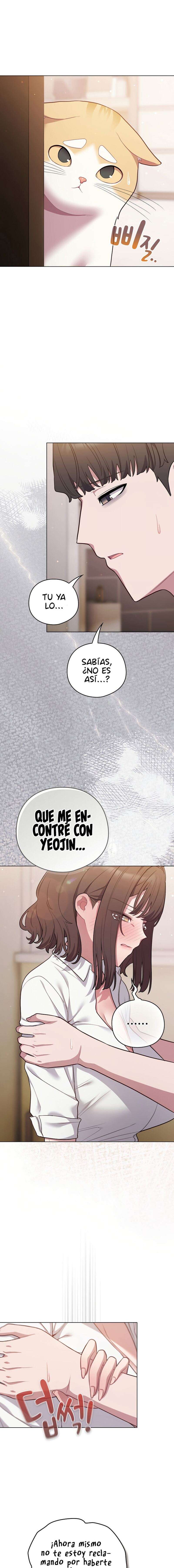 Maullidos de amor Capítulo 47 - Page 5