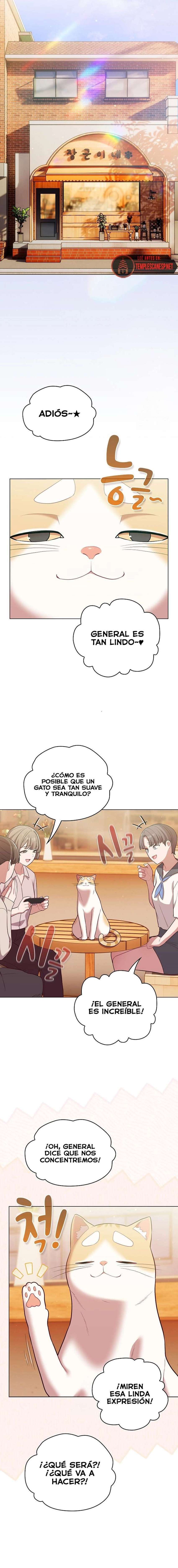 Maullidos de amor Capítulo 53 - Page 15