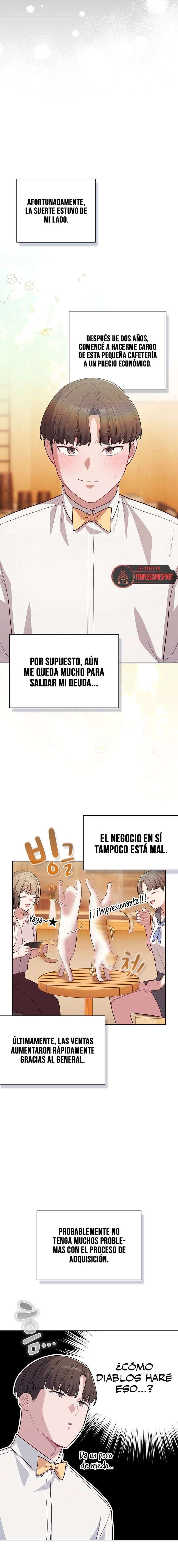 Maullidos de amor Capítulo 53 - Page 19