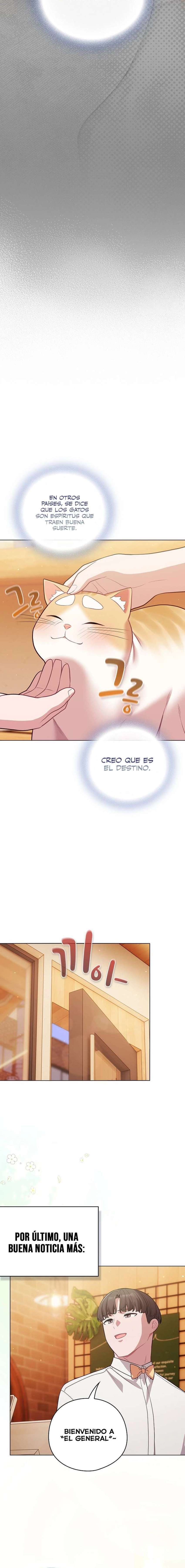 Maullidos de amor Capítulo 53 - Page 21