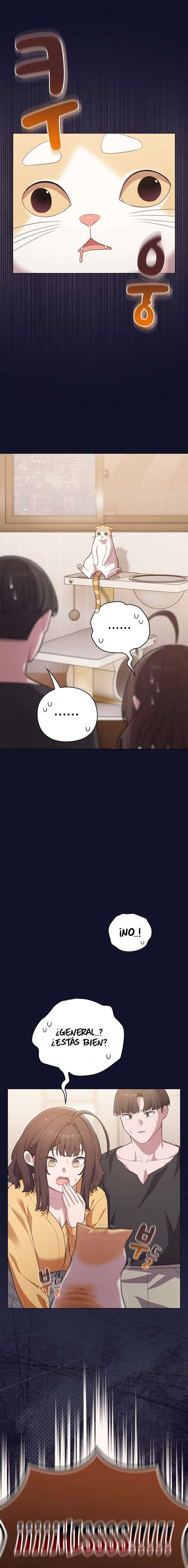 Maullidos de amor Capítulo 53 - Page 3